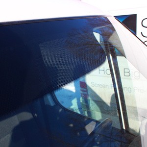 Windshield